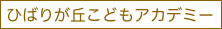 item1b3a1b2a1a3